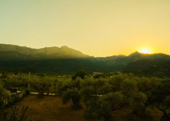 Aegli ホテル スカラ・ポタミアス